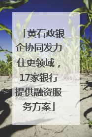 黄石政银企协同发力住更领域，17家银行提供融资服务方案