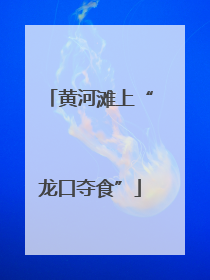 黄河滩上“龙口夺食”