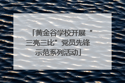 黄金谷学校开展“三亮三比”党员先锋示范系列活动
