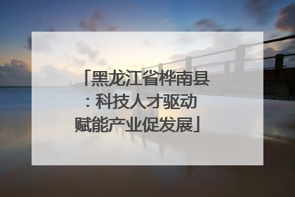 黑龙江省桦南县：科技人才驱动 赋能产业促发展