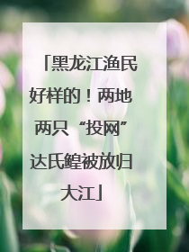 黑龙江渔民好样的！两地两只“投网”达氏鳇被放归大江
