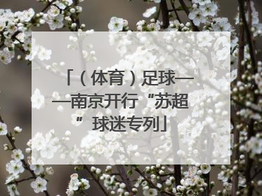 （体育）足球——南京开行“苏超”球迷专列