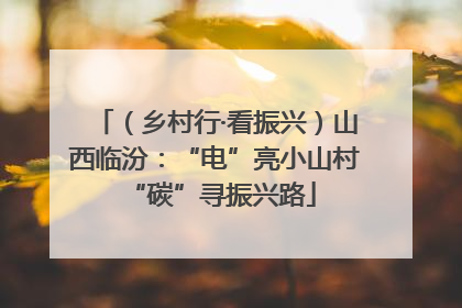 （乡村行·看振兴）山西临汾：“电”亮小山村 “碳”寻振兴路