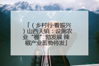 （乡村行·看振兴）山西天镇：设施农业“棚”勃发展 辣椒产业蓄势待发