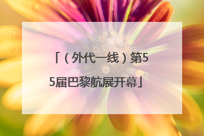 （外代一线）第55届巴黎航展开幕