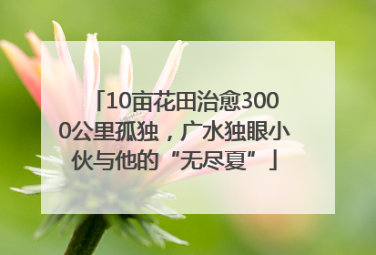10亩花田治愈3000公里孤独，广水独眼小伙与他的“无尽夏”