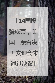 14国投赞成票，美国一票否决！安理会未通过决议