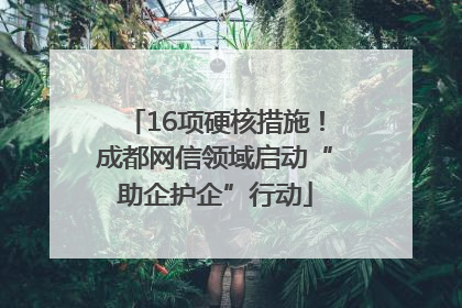 16项硬核措施！成都网信领域启动“助企护企”行动