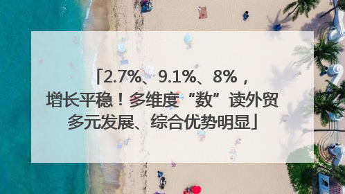 2.7%、9.1%、8%，增长平稳！多维度“数”读外贸多元发展、综合优势明显