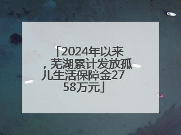 2024年以来，芜湖累计发放孤儿生活保障金2758万元