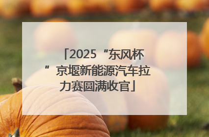2025“东风杯”京堰新能源汽车拉力赛圆满收官
