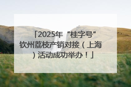 2025年“桂字号”钦州荔枝产销对接（上海）活动成功举办！