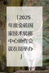 2025年度金砖国家技术转移中心协作会议在昆举办