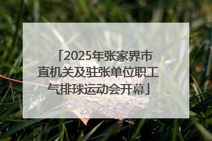 2025年张家界市直机关及驻张单位职工气排球运动会开幕