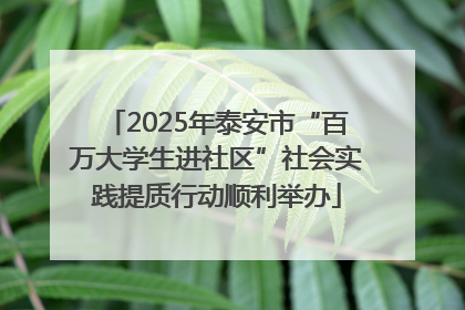 2025年泰安市“百万大学生进社区”社会实践提质行动顺利举办