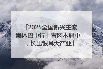2025全国新兴主流媒体巴中行丨青冈木屑中，长出银耳大产业