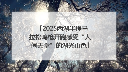2025西湖半程马拉松鸣枪开跑感受“人间天堂”的湖光山色