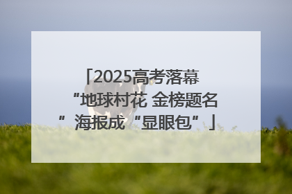 2025高考落幕 “地球村花 金榜题名”海报成“显眼包”