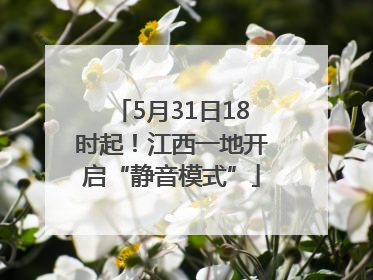 5月31日18时起！江西一地开启“静音模式”