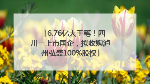 6.76亿大手笔！四川一上市国企，拟收购泸州弘盛100%股权