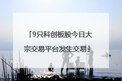 9只科创板股今日大宗交易平台发生交易