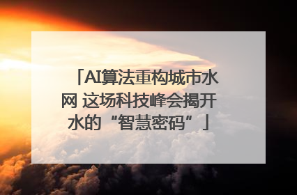 AI算法重构城市水网 这场科技峰会揭开水的“智慧密码”