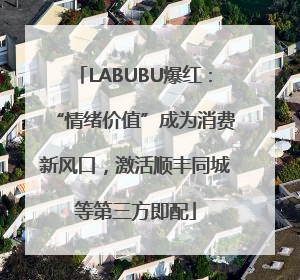 LABUBU爆红：“情绪价值”成为消费新风口，激活顺丰同城等第三方即配